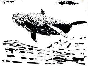 Paul Watson